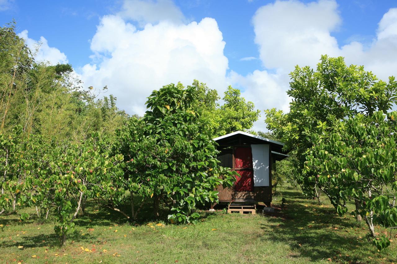 Kirpal Meditation&Ecological Center Pahoa Esterno foto