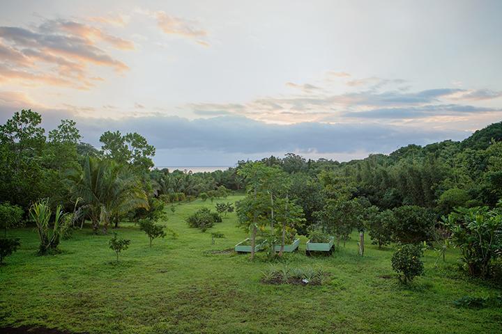 Kirpal Meditation&Ecological Center Pahoa Esterno foto