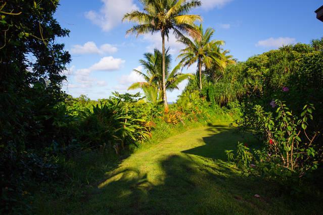 Kirpal Meditation&Ecological Center Pahoa Esterno foto