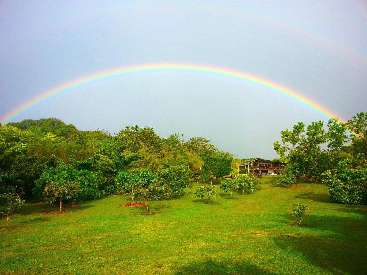 Kirpal Meditation&Ecological Center Pahoa Esterno foto