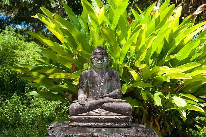 Kirpal Meditation&Ecological Center Pahoa Esterno foto