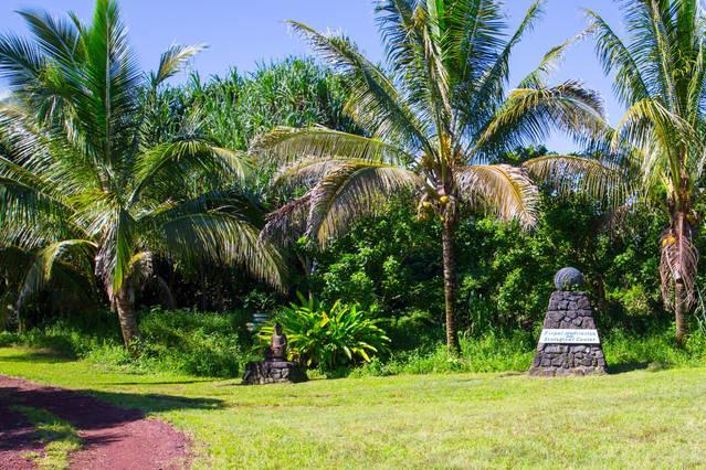 Kirpal Meditation&Ecological Center Pahoa Esterno foto